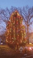 2015 Christmas Tree Lighting 